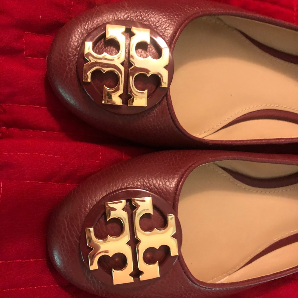 Claire Ballet Flats. Worn once